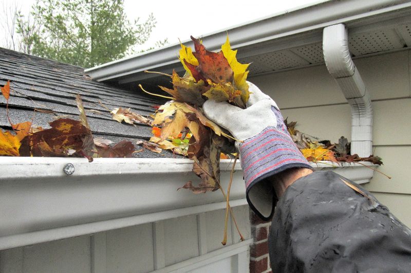Rain Gutter Cleaning