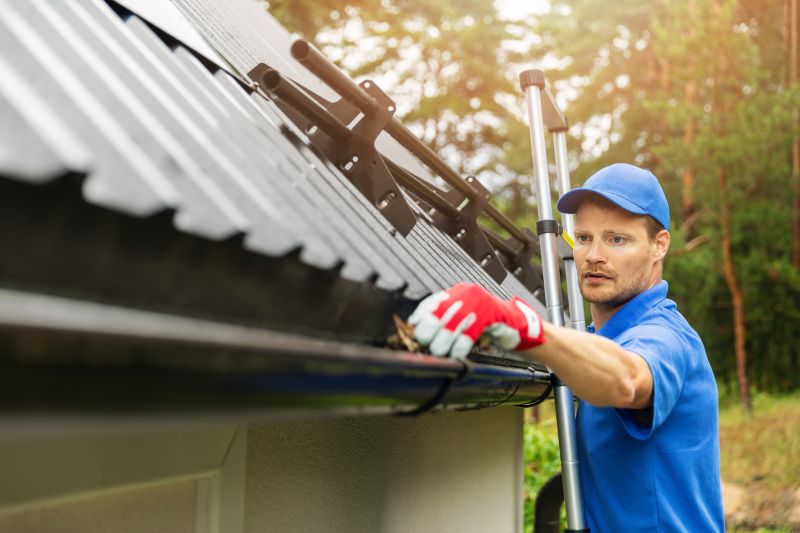 Rain Gutter Cleaning