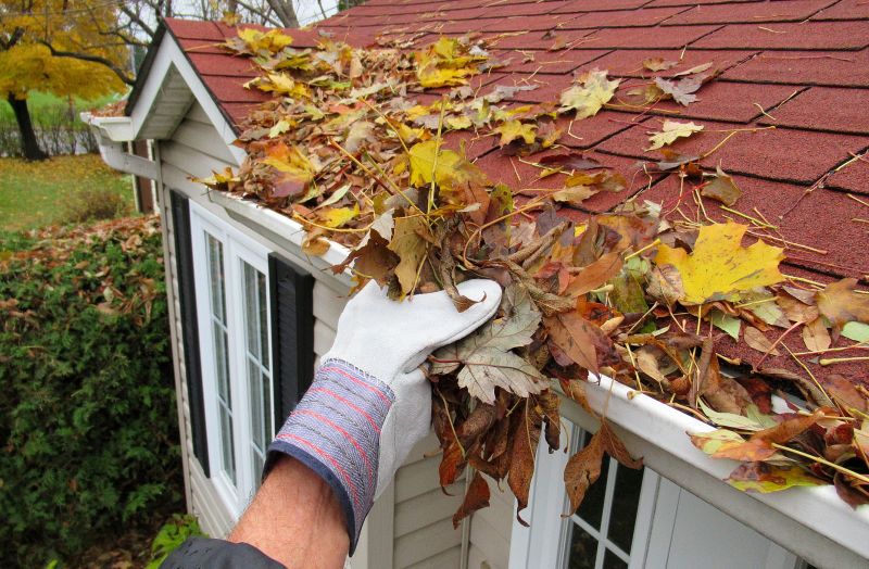 Rain Gutter Cleaning