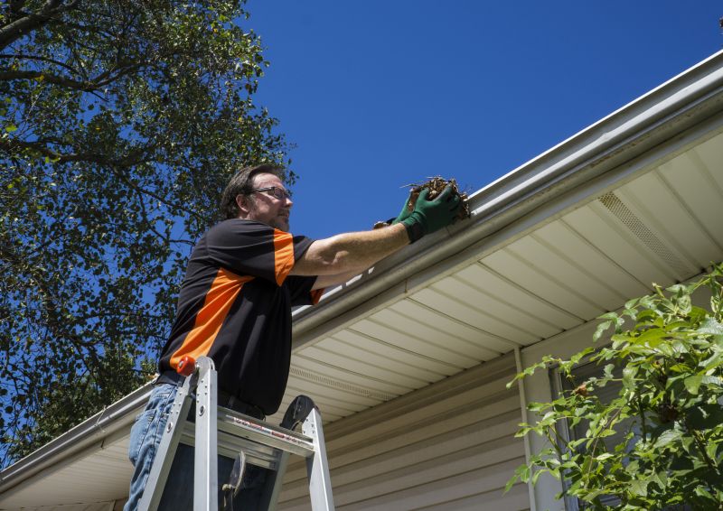 Spring Gutter Cleaning