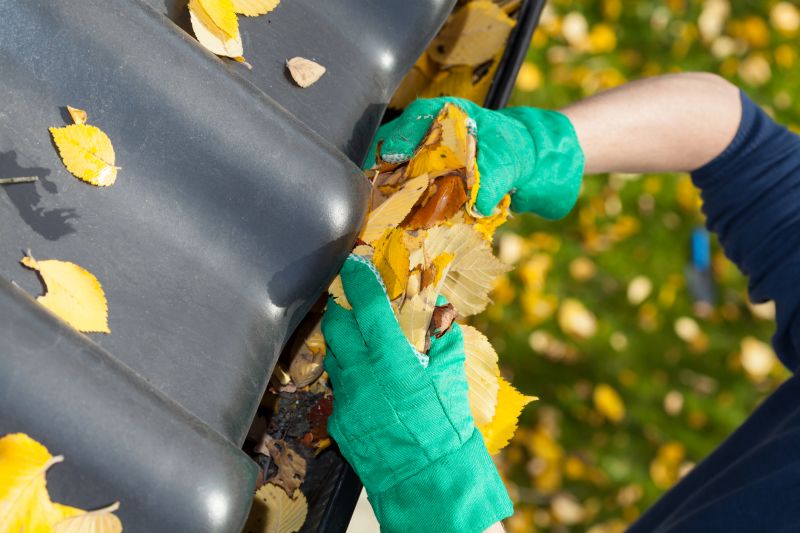 Fall Gutter Cleaning