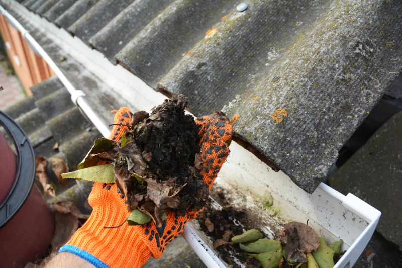 Roof Gutter Cleaning in Arvada, CO