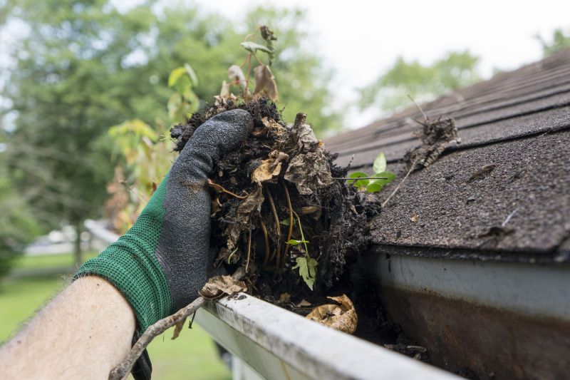 Improve Aesthetic Appeal with Gutter Cleaning!