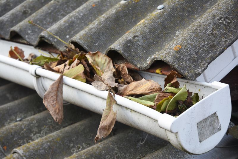 Prevent Clogs in Your Gutters!