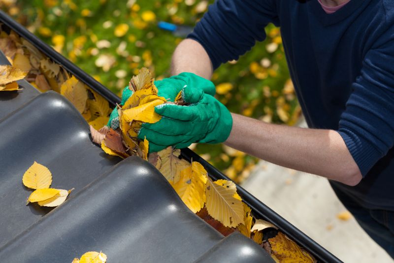 Rain Gutter Cleaning